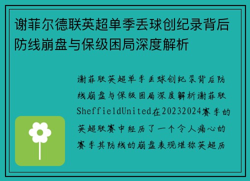 谢菲尔德联英超单季丢球创纪录背后防线崩盘与保级困局深度解析