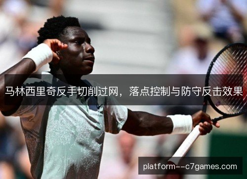 马林西里奇反手切削过网，落点控制与防守反击效果